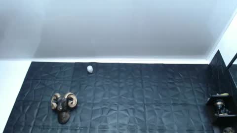 Hanna  online show from 02-13-25, 04:54