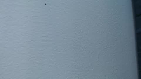 Hanna  online show from 02-15-25, 06:02