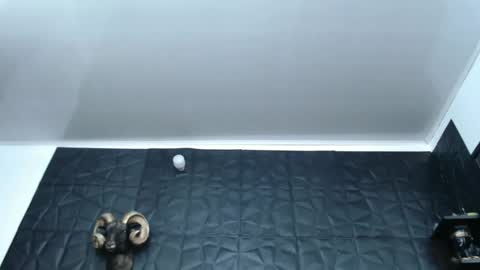 Hanna  online show from 02-27-25, 05:56