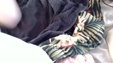 Crucifux online show from 01-30-25, 08:31