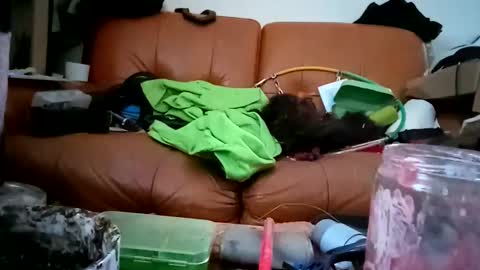 Snapshot of crystelweed chatting on 11-09-25, 08:56 crystelweed online show from 11-09-25, 08:56