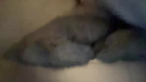 cuckgriff23 online show from 04-28-26, 02:49