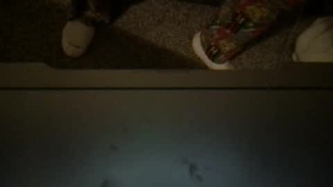 CuddleFuckXXX online show from 04-03-26, 03:15