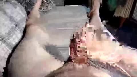 Snapshot of cuminher1975 chatting on 10-10-25, 10:47 Paul online show from 10-10-25, 10:47