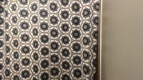 ConCon online show from 01-20-25, 12:36