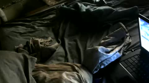 Snapshot of cumwith_me80 chatting on 05-08-26, 07:46 cumwith_me80 online show from 05-08-26, 07:46