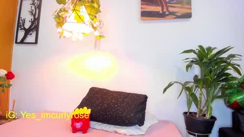 Rose online show from 01-28-25, 08:04