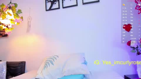 Rose online show from 02-15-25, 08:54