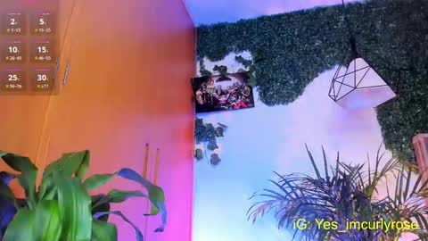 Rose online show from 09-24-25, 09:29