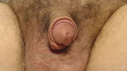 Snapshot of curve66 chatting on 02-06-25, 04:25 curve66 online show from 02-06-25, 04:25