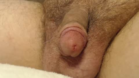 Snapshot of curve66 chatting on 10-16-25, 12:55 curve66 online show from 10-16-25, 12:55