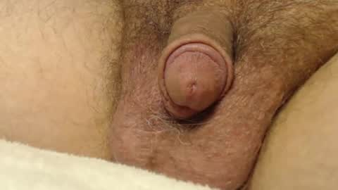 Snapshot of curve66 chatting on 10-22-25, 01:06 curve66 online show from 10-22-25, 01:06