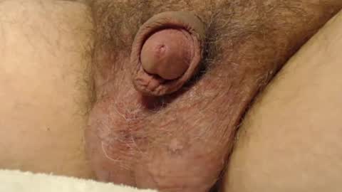 Snapshot of curve66 chatting on 11-17-25, 11:10 curve66 online show from 11-17-25, 11:10