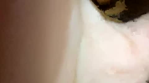 Snapshot of curvy24777 chatting on 02-15-25, 07:06 curvy24777 online show from 02-15-25, 07:06