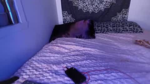 Snapshot of curvybcelinemixe chatting on 03-02-25, 07:21 Cline  online show from 03-02-25, 07:21