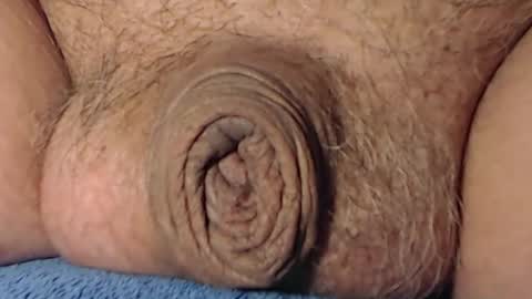 cute_stud2855 online show from 02-08-26, 04:32