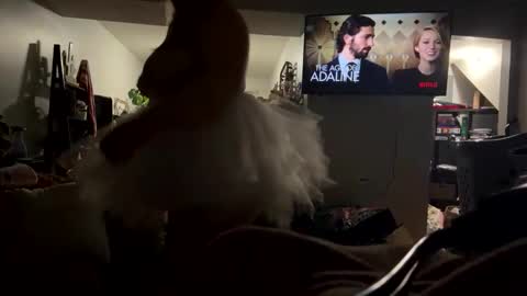 cutebananas online show from 04-17-26, 09:23