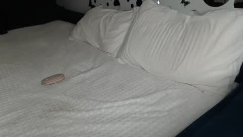 Anna online show from 01-27-25, 01:52