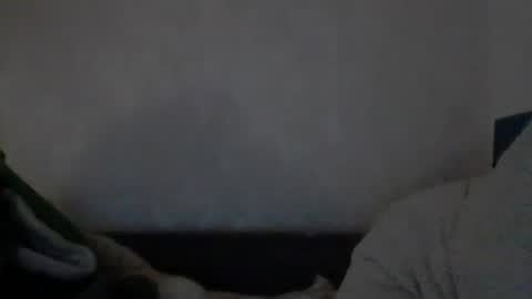 Snapshot of cutekattie chatting on 12-09-24, 08:00 cutekattie online show from 12-09-24, 08:00