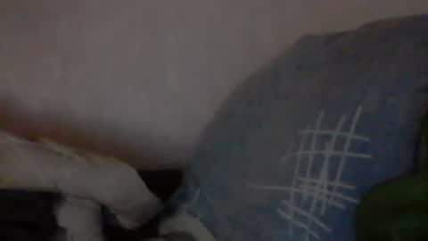 Snapshot of cutekattie chatting on 01-09-25, 03:58 cutekattie online show from 01-09-25, 03:58