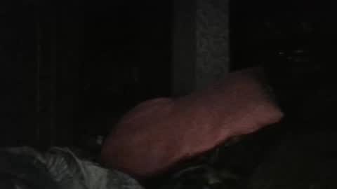 cutekattie online show from 02-25-26, 06:01