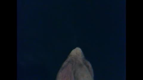 CutieBoy online show from 10-26-25, 01:33