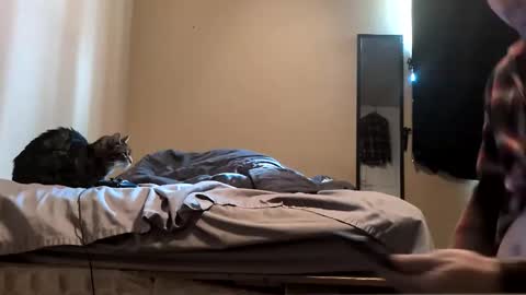 da_man411212 online show from 02-19-26, 10:06