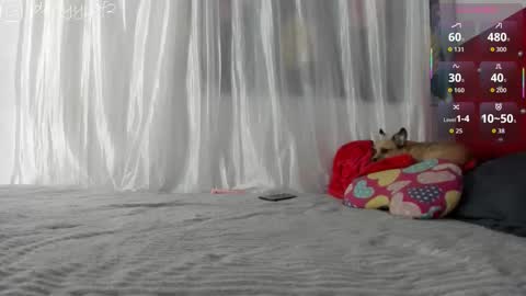 daani_hott online show from 01-09-26, 04:15