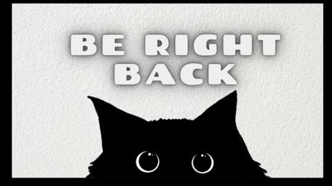 DachsKevin online show from 07-25-26, 10:57