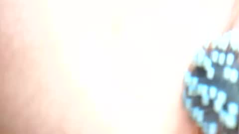 Snapshot of daddydigbick87 chatting on 10-29-25, 08:16 daddydigbick87 online show from 10-29-25, 08:16