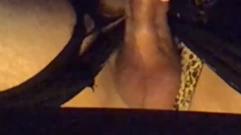 daddypervbuttprincess online show from 09-13-25, 02:50