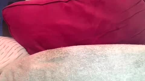 daddyy008 online show from 09-10-25, 09:48