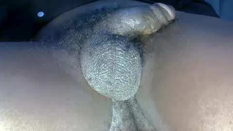 Snapshot of dadyschlong chatting on 06-10-26, 11:13 GIANT Lamar 72 ft tall with a 10 inches BBC hard quick cumshot in private show lets go online show from 06-10-26, 11:13
