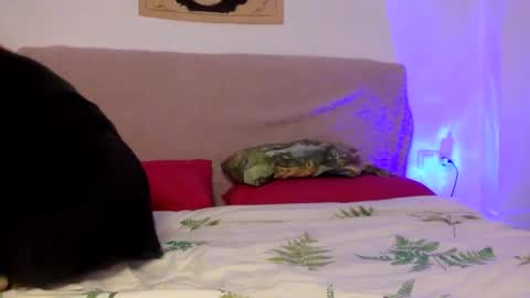 dafnesqueeze online show from 01-07-25, 06:14