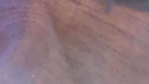 Daisy137 online show from 03-08-26, 06:44