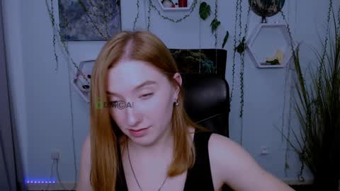 Little Di online show from 01-24-25, 11:56