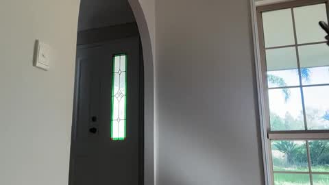 Daisy online show from 03-15-26, 10:05