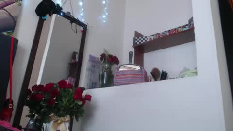 Snapshot of dakota_dark_ chatting on 02-17-25, 04:26 Dakota online show from 02-17-25, 04:26