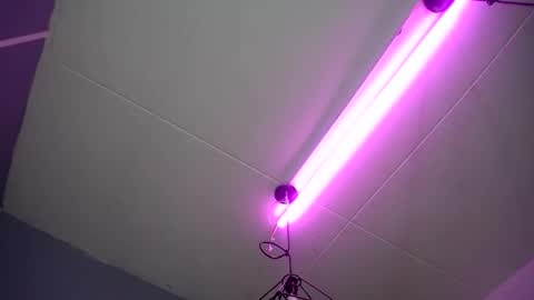     online show from 01-28-25, 08:14