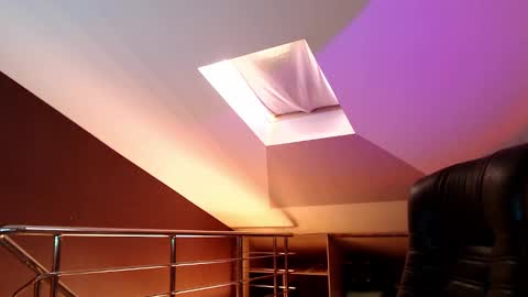 Dalia  online show from 12-20-24, 10:27