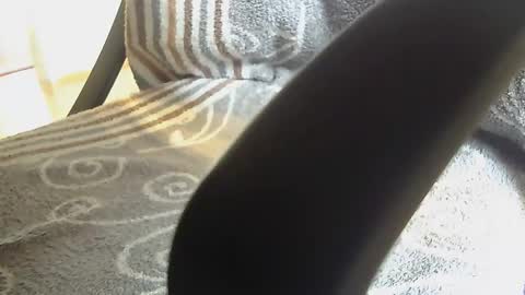 Dammerl online show from 01-28-25, 08:25