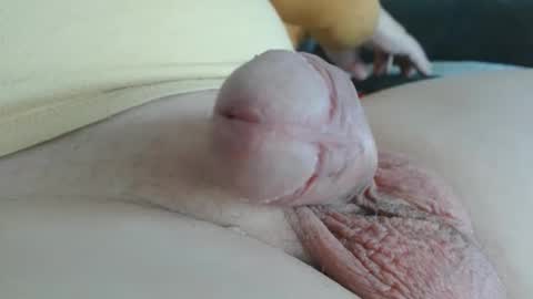 Damocles online show from 10-20-25, 12:49