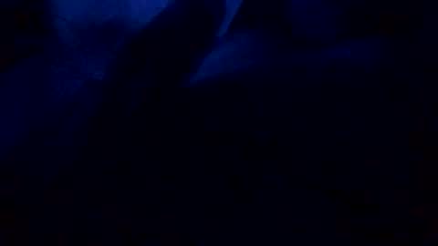 DanAmp online show from 12-22-25, 07:05