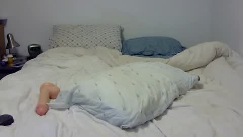 Snapshot of dandyhandys chatting on 02-07-25, 02:19 Andy online show from 02-07-25, 02:19