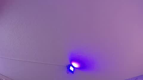 Daniela online show from 03-11-25, 10:51