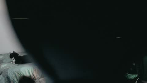 Snapshot of dani_jocelyn chatting on 03-02-25, 11:53 dani y jocelyn online show from 03-02-25, 11:53