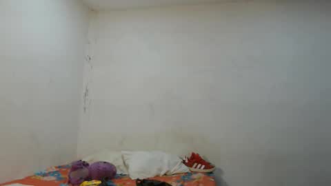 danielitopapii online show from 11-12-25, 03:40