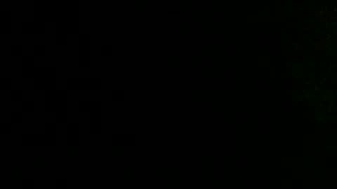 Snapshot of dankshepp chatting on 10-02-25, 10:00 dandeb online show from 10-02-25, 10:00