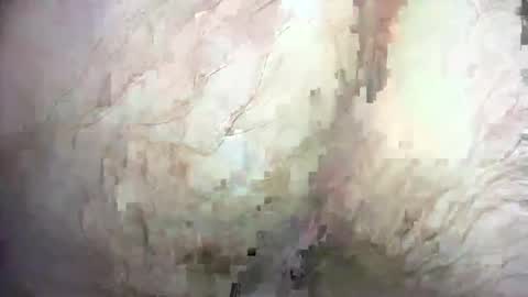 dankz4two0 online show from 12-21-24, 01:32