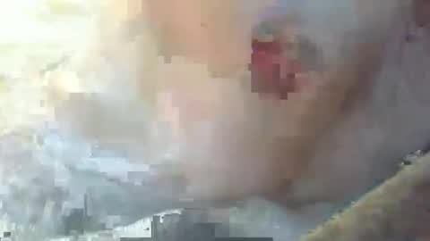 dankz4two0 online show from 01-11-25, 03:09